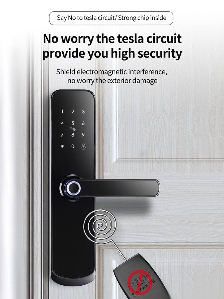 Smart Life Tuya Zigbee Door Handle Fingerprint Keypad Card Lock | H1 | Black & Silver