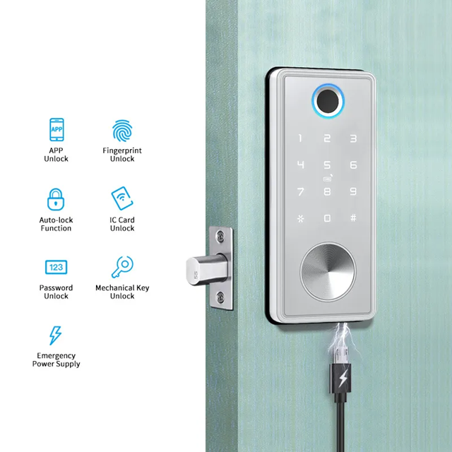 Smart Life Tuya WIFI Access Control Fingerprint Keypad Card Door Lock T1 (Silver)
