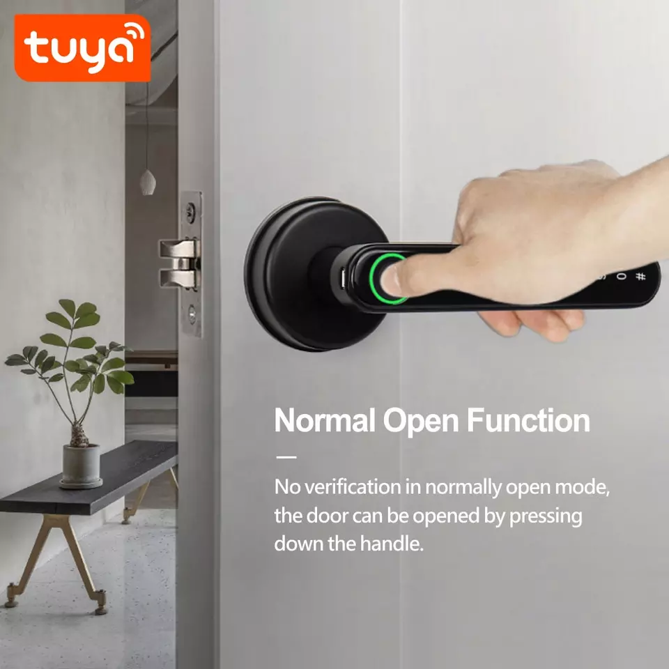 Smart Life Tuya Bluetooth Access Control Fingerprint Keypad Door Handle Lock T8 (Black)