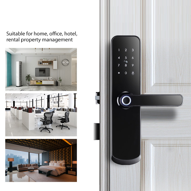 Smart Life Tuya Zigbee Door Handle Fingerprint Keypad Card Lock | H1 | Black