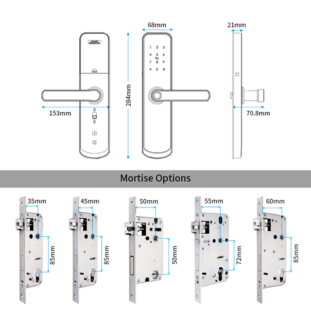 Smart Life Tuya Zigbee Door Handle Fingerprint Keypad Card Lock | H1 | Black & Silver