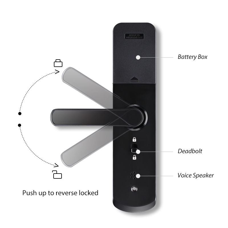Smart Life Tuya Zigbee Door Handle Fingerprint Keypad Card Lock | H1 | Black