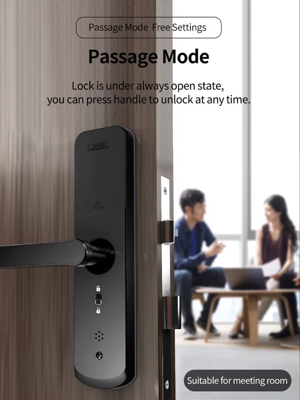 Smart Life Tuya Zigbee Door Handle Fingerprint Keypad Card Lock | H1 | Black & Silver