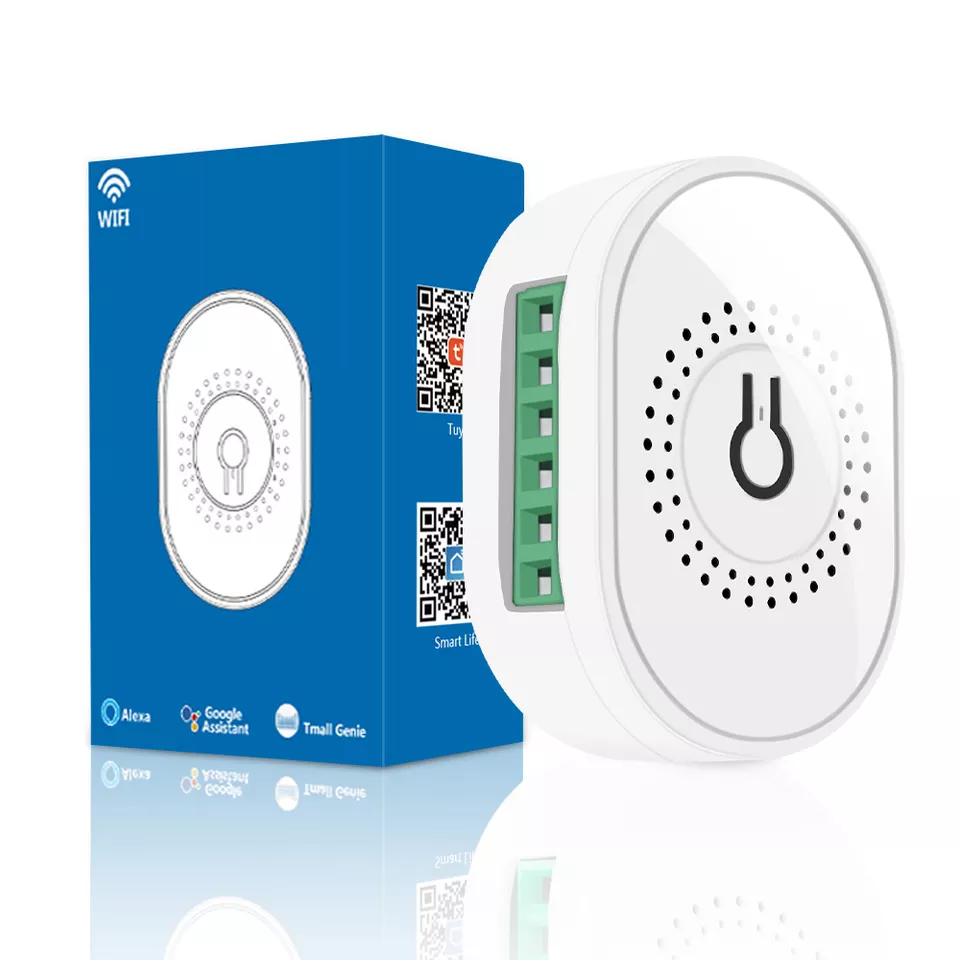 Smart Life Tuya WIFI 2CH 16A 3500W Mini Switch
