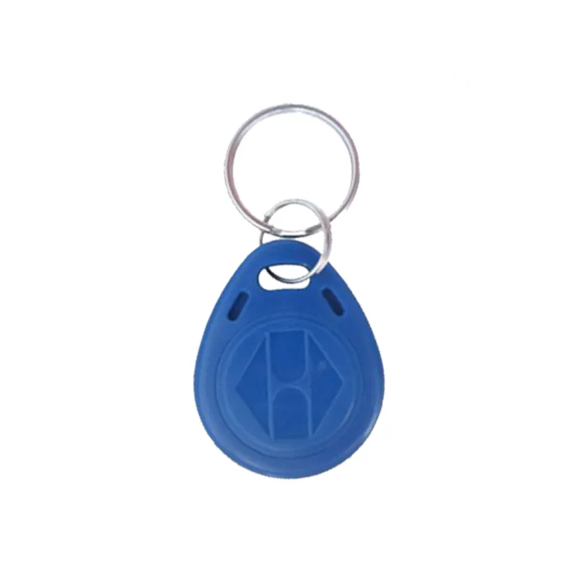 Additional EM 125Khz Key Fob Tag for Tuya Access Control (1 Piece)