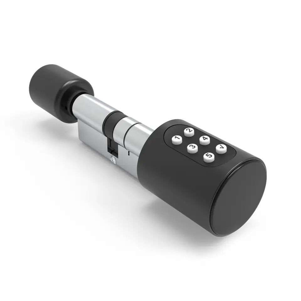 Smart Life Tuya Bluetooth Access Control Keypad Card Smart Key Cylinde ...