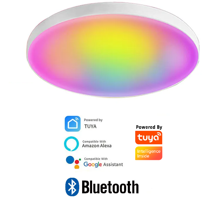 Smart Life Tuya Bluetooth Ceiling LED Light 24W CCT 2700-6500K | RGB 4W | Remote Controller | 240V