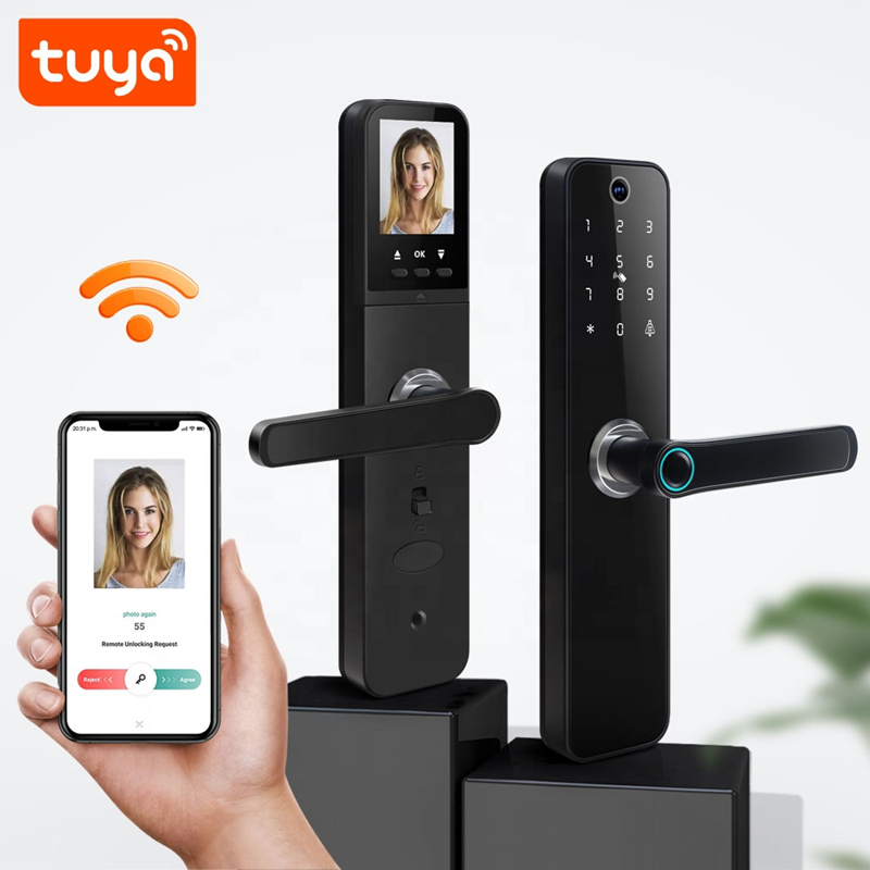 Smart Life Tuya WIFI Door Handle Fingerprint Keypad Card Doorbell Lock HR08P (Black)