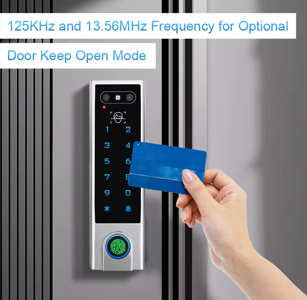Smart Life Tuya WIFI Access Control 12V Face Fingerprint Keypad Card Doorbell | IP66 | DLVF3