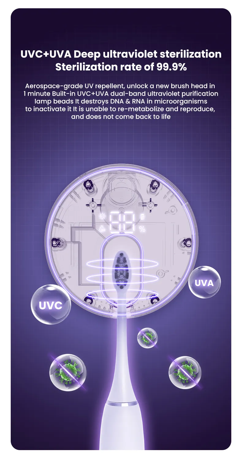 Toothbrush UVA UVC Sterilizer & Holder | 5V Rechargeable | Wall Mounted / Portable | 1 Slot