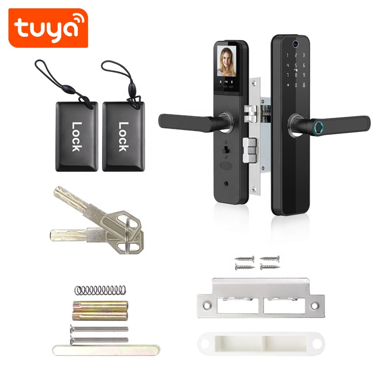 Smart Life Tuya WIFI Door Handle Fingerprint Keypad Card Doorbell Lock HR08P (Black)