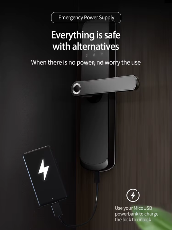 Smart Life Tuya Zigbee Door Handle Fingerprint Keypad Card Lock | H1 | Black