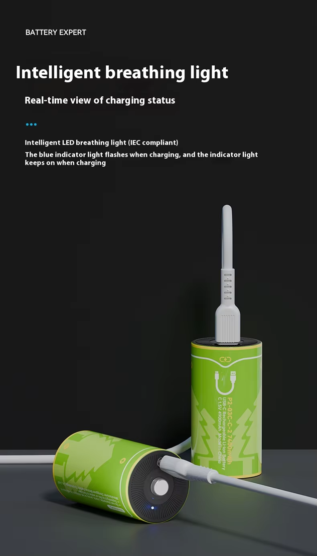 BESTON C Cell USB C Rechargeable Lithium-ion Battery | 1.5V | 4900mAh | 2 Pack