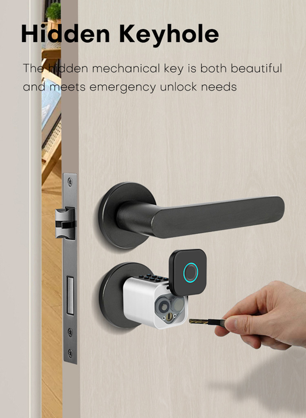 Smart Life Tuya Bluetooth Door Cylinder Lock Fingerprint Keypad Card Key | Silver & Black
