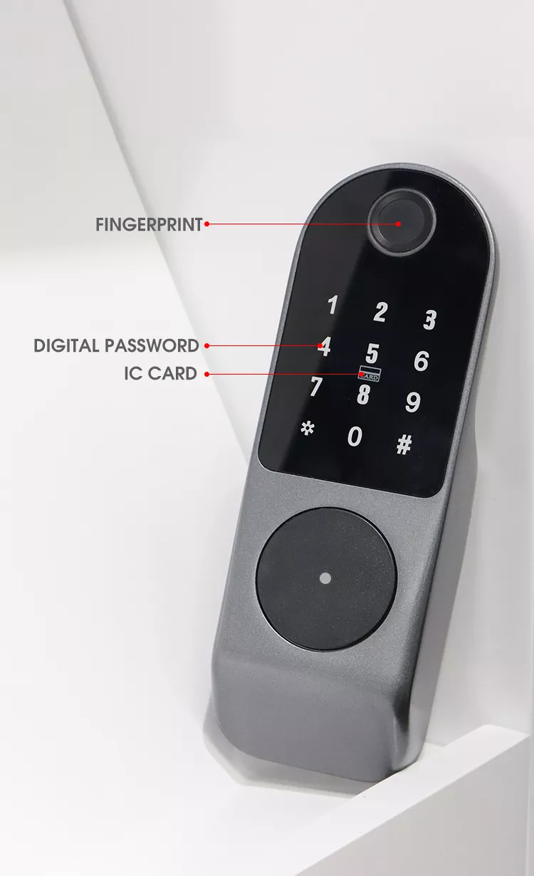 WIFI Control Smart Life Tuya Digital Fingerprint Door Handle Lock with Remote (Silver)