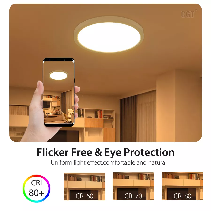 WIFI Control Smart Life Tuya LED Ceiling Light 24W CCT + 10W RGB