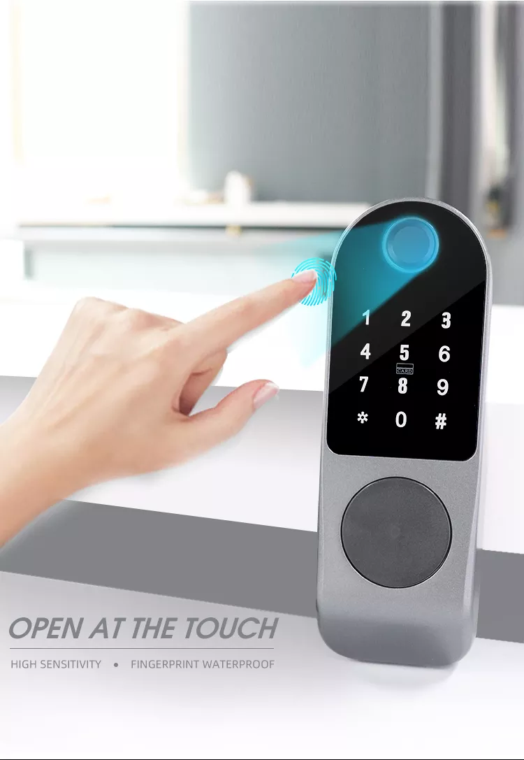 WIFI Control Smart Life Tuya Digital Fingerprint Door Handle Lock with Remote (Silver)